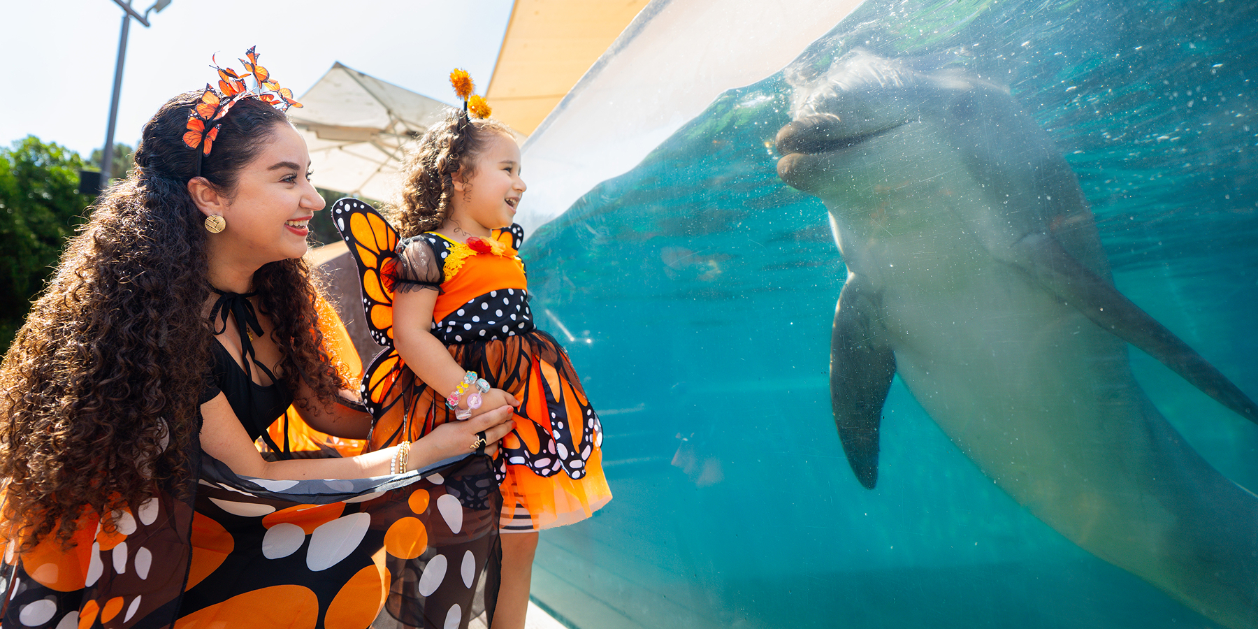 SeaWorld San Diego Spooktacular