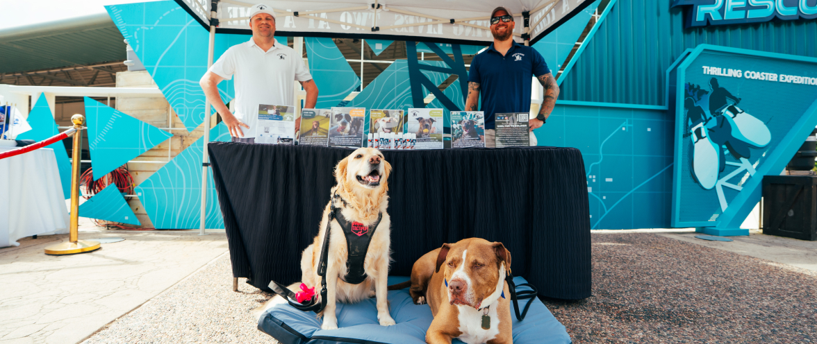 A vendor booth with dogs in front