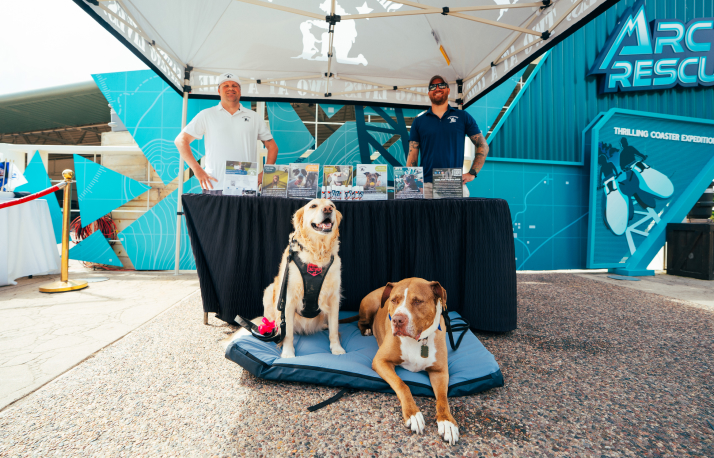 A vendor booth with dogs in front