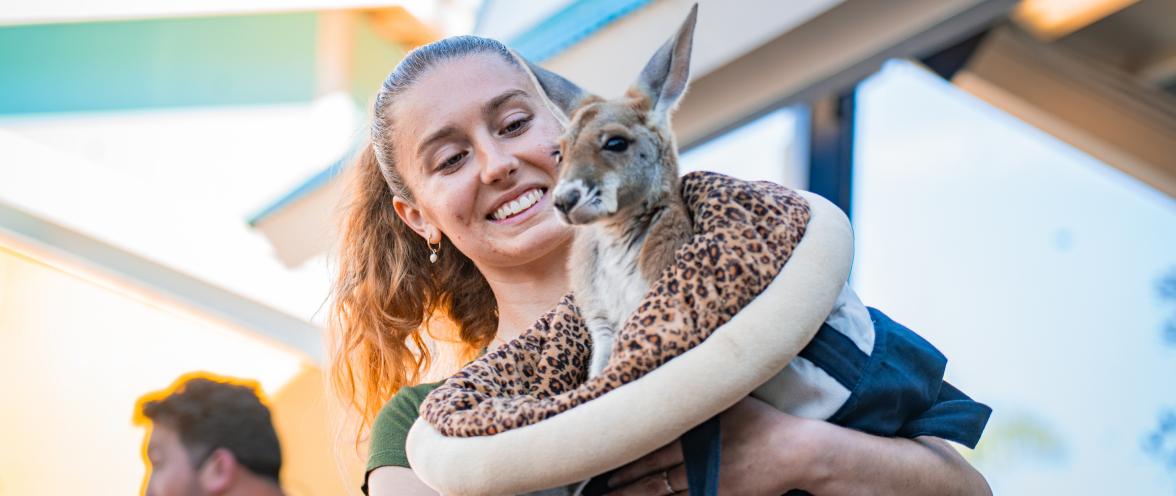 Animal specialist with a baby kangaroo