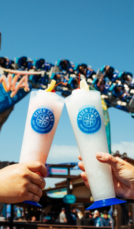 Two frozen drinks in front of Manta roller coaster