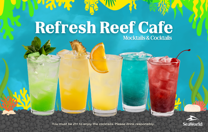 Refresh Reef Drinks