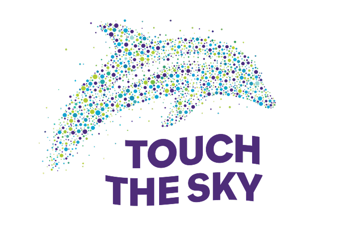 Touch the Sky
