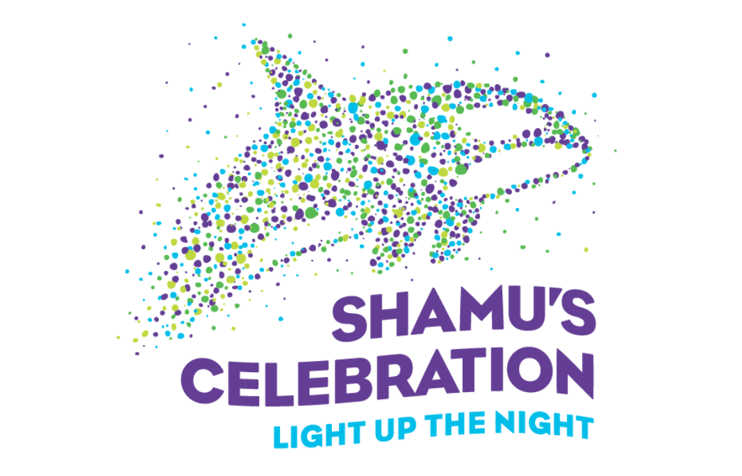 Shamu Celebration Light Up the Night