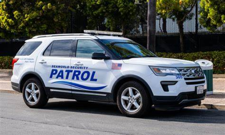 patrol car.