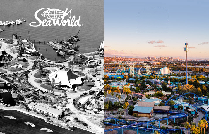seaworld parks.