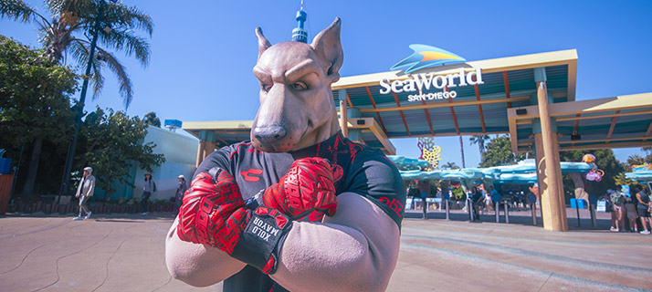 Club Tijuana Mascot in front of SeaWorld entrance