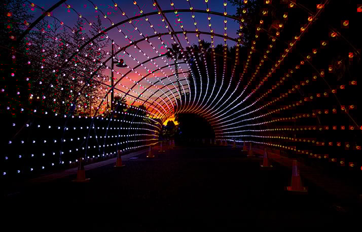 Tunnel of Lights
