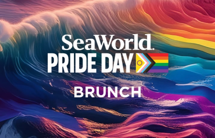 SeaWorld Pride Day Brunch Logo