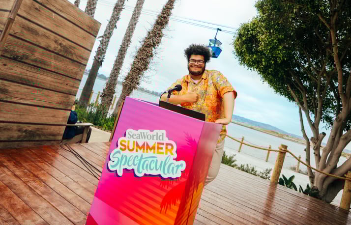 Summer Spectacular DJ Booth