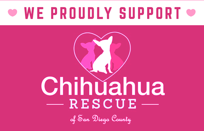 chihuaua rescue
