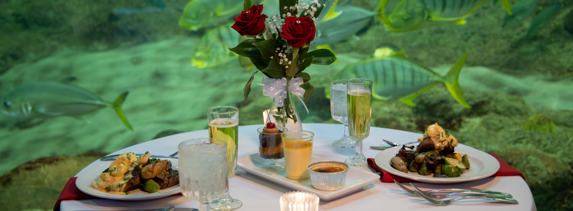 Table set with entrees in front of an aquarium