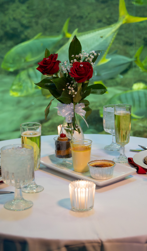 Table set with entrees in front of an aquarium