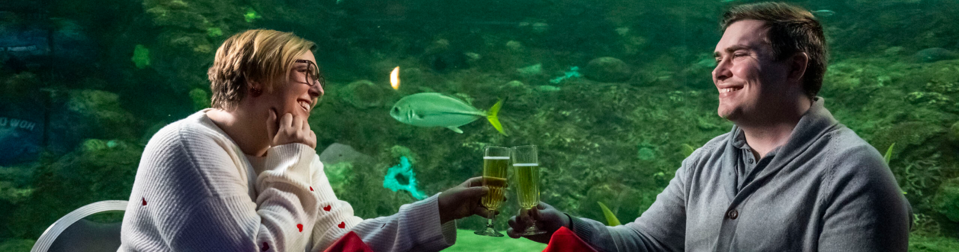 Valentines Day Dinnner