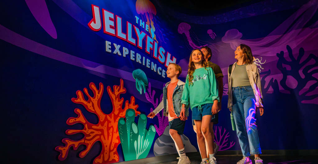 A family at The Jellyfish Experience