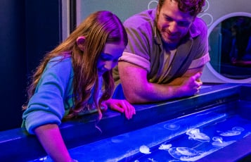 A child and a man touching jelly fish