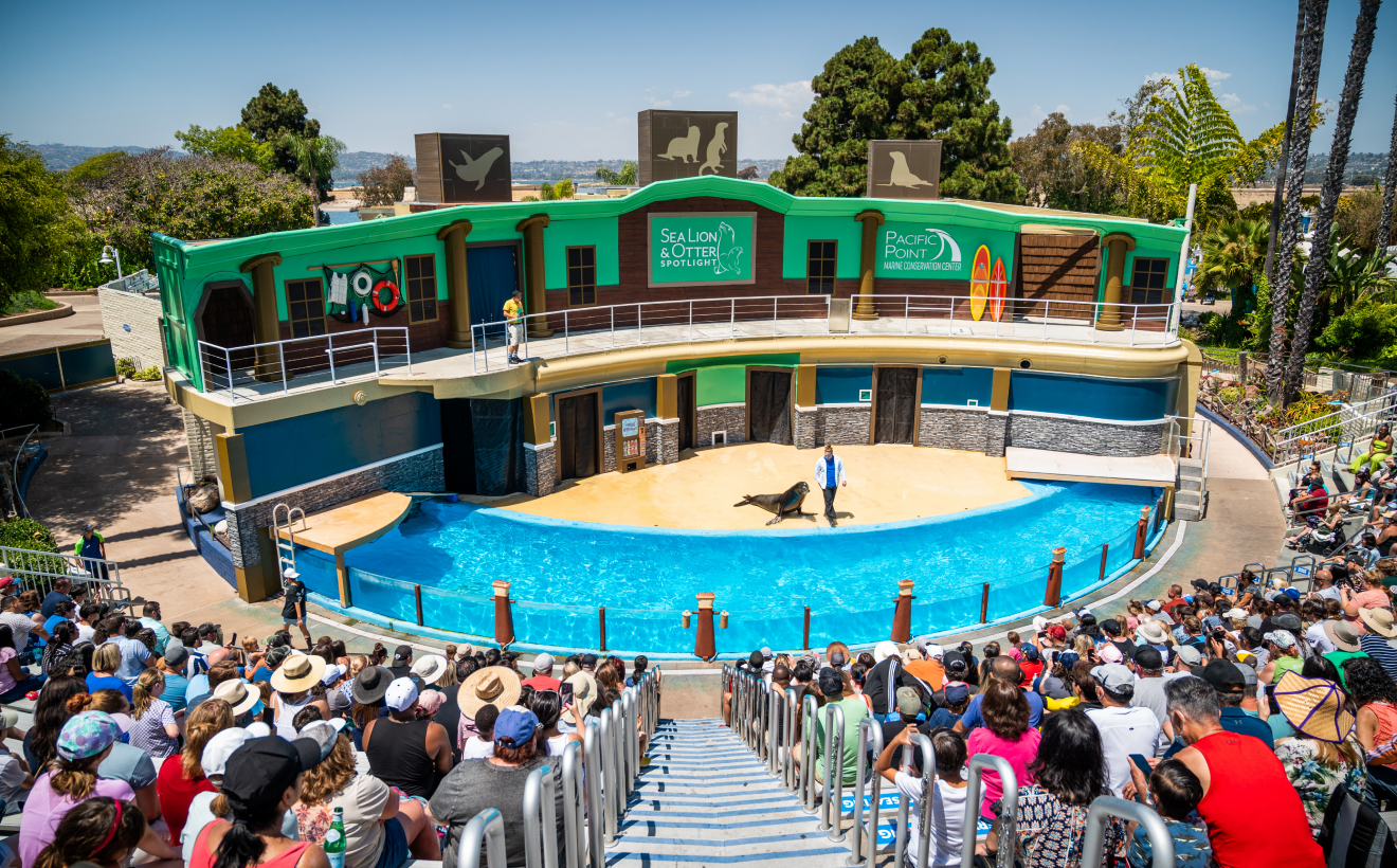 Amphitheater with a Sea Lion presentation