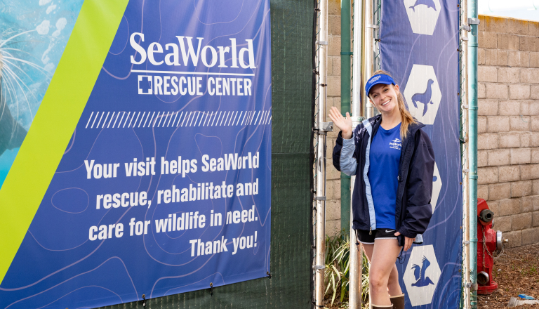 SeaWorld Rescue Center