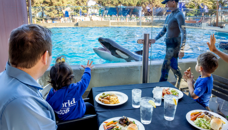 Family dining in front of Orca exhibit