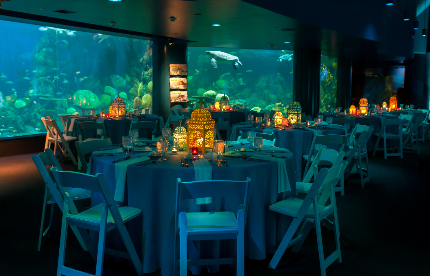Banquet tables in an aquariam