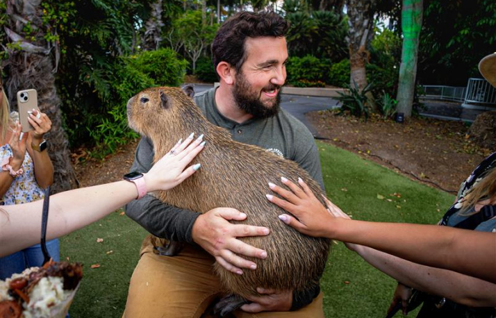 Man holding a capybara