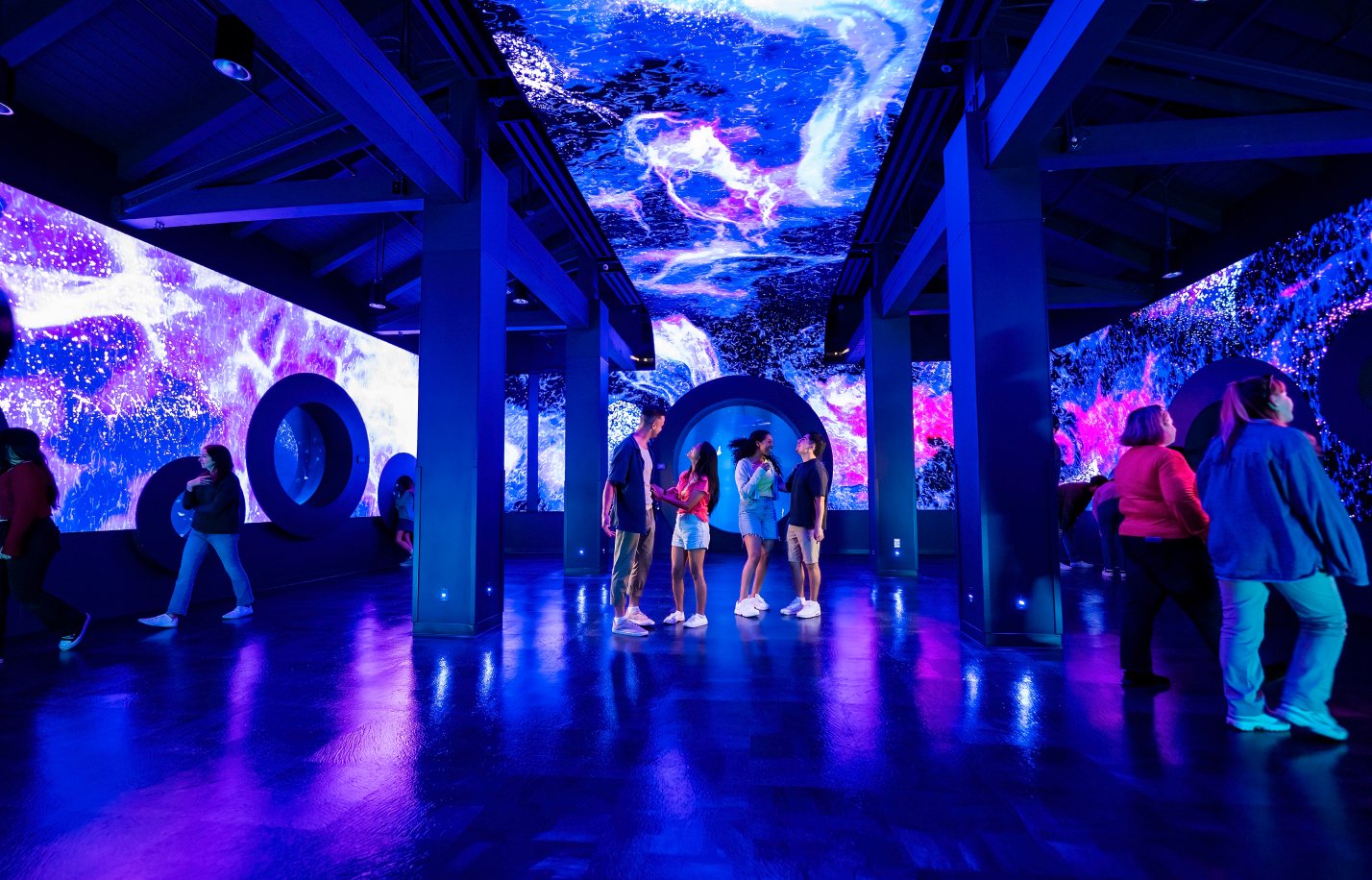 People observing a jellyfish exhibit