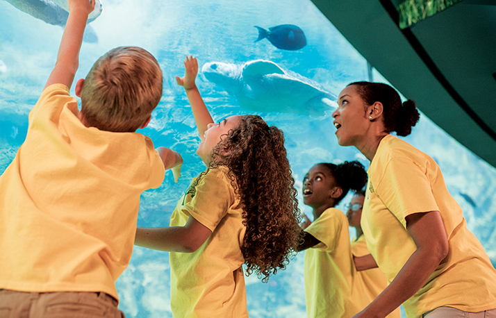 Youth camps at SeaWorld San Diego
