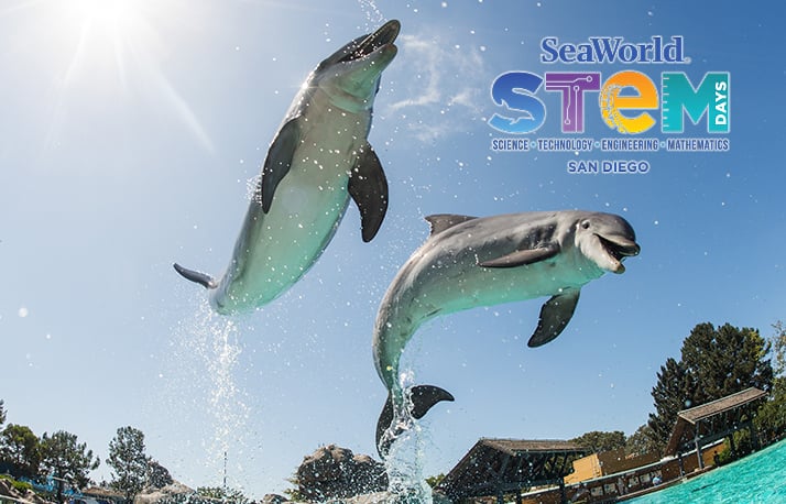 SeaWorld STEM