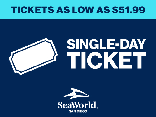 Save on Single Day Tickets