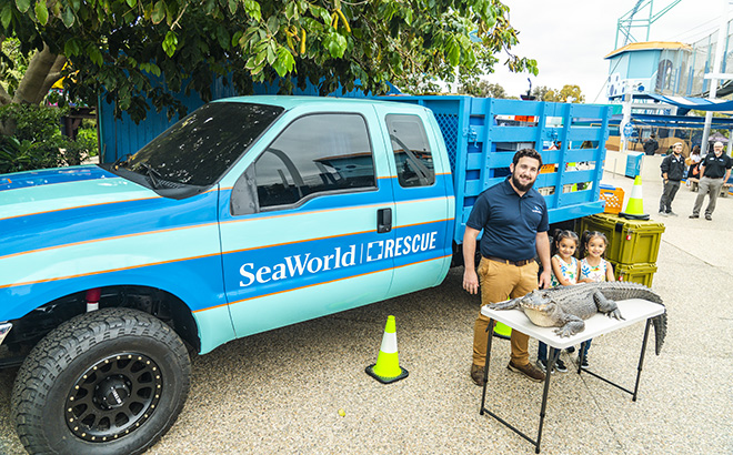 Rescue Garage at Rescue Jr SeaWorld San Diego