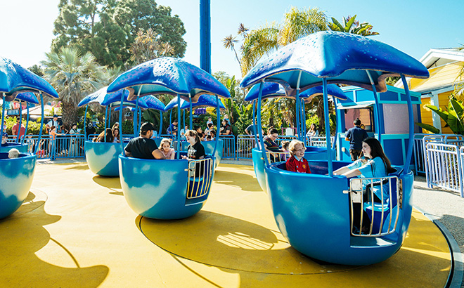 Tidepool Twist at Rescue Jr SeaWorld San Diego