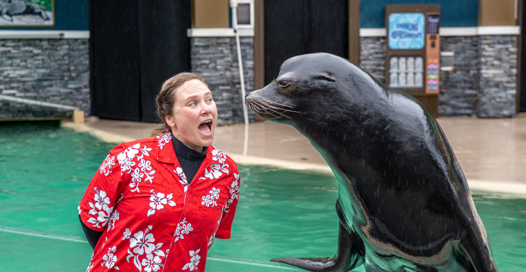 A woman in a floral shirt next to a sea lion