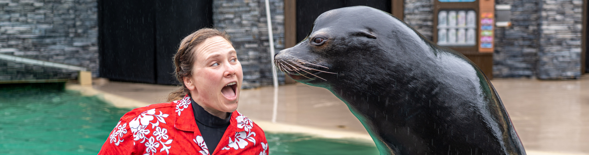 A woman in a floral shirt next to a sea lion