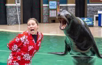 A woman in a floral shirt next to a sea lion