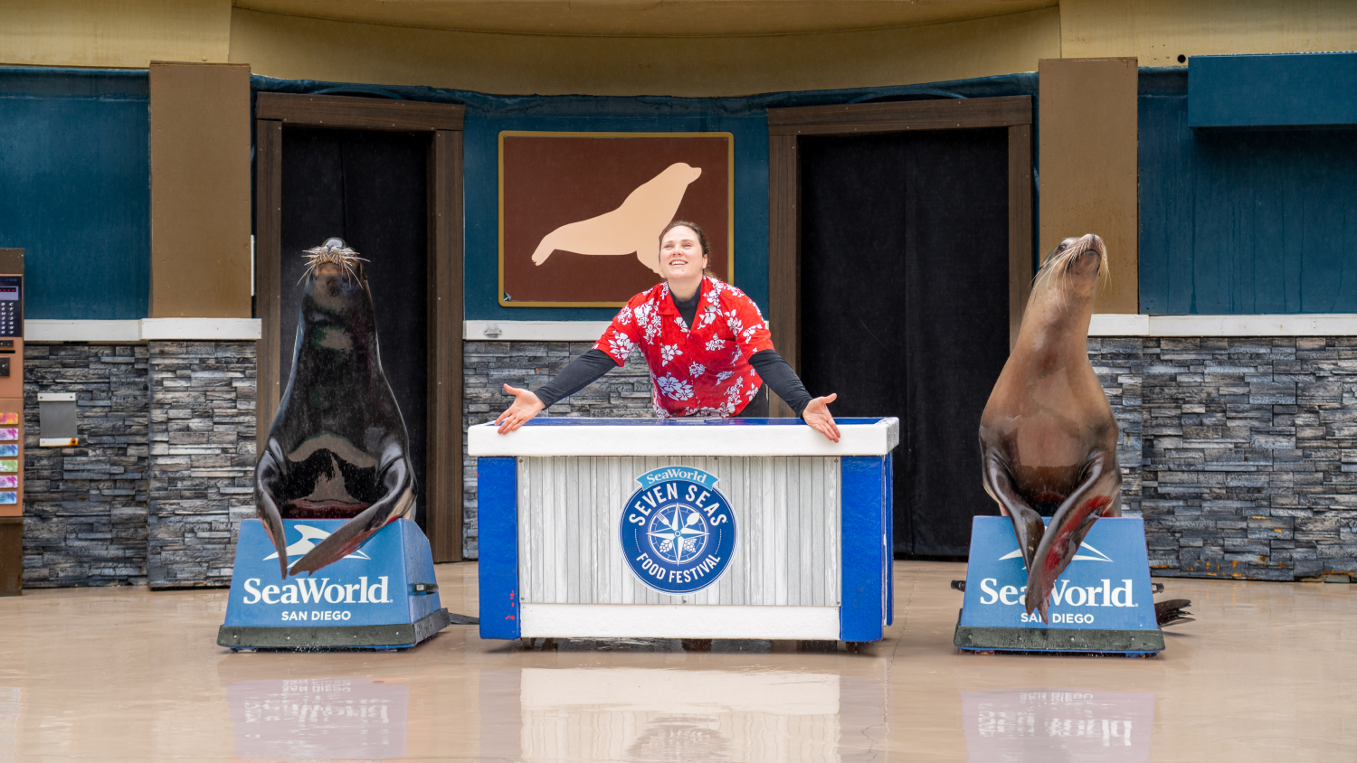 Animal specialist with two sea lions