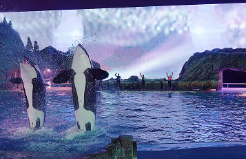 Shamu Light Up the Night