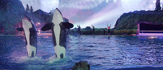 Shamu Light Up the Night