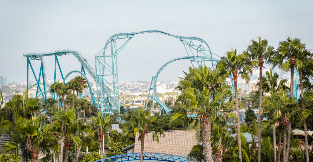 Palm trees in front of a roller coaster