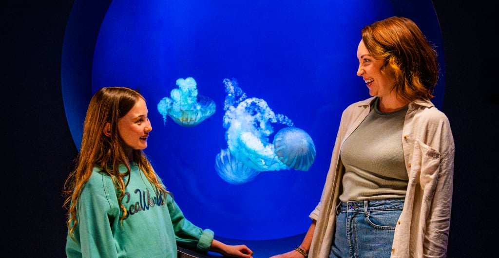 Woman and child looking at jellyfish