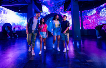 A family in the jellyfish experience