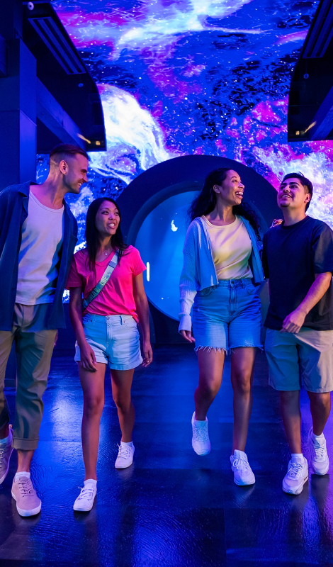 A family in the jellyfish experience