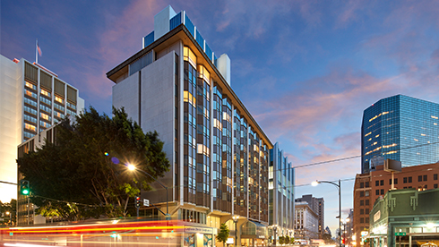 the bristol