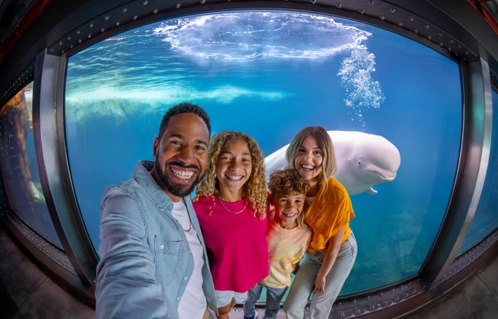 Family in front of a Beluga Whale