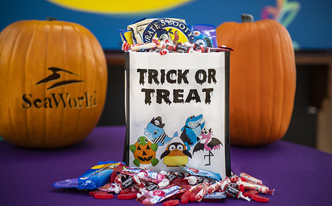 Halloween Spooktacular Candy Bag