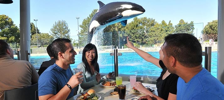 Dine with Orcas speciality dining experience at SeaWorld Orlando