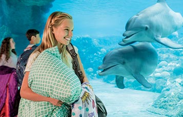 Educational sleepovers at SeaWorld Orlando