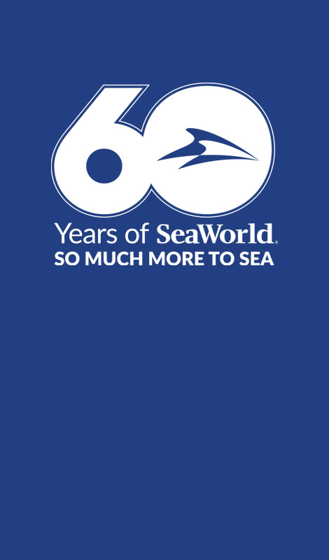 60 Years of SeaWorld So Much More to Sea logo