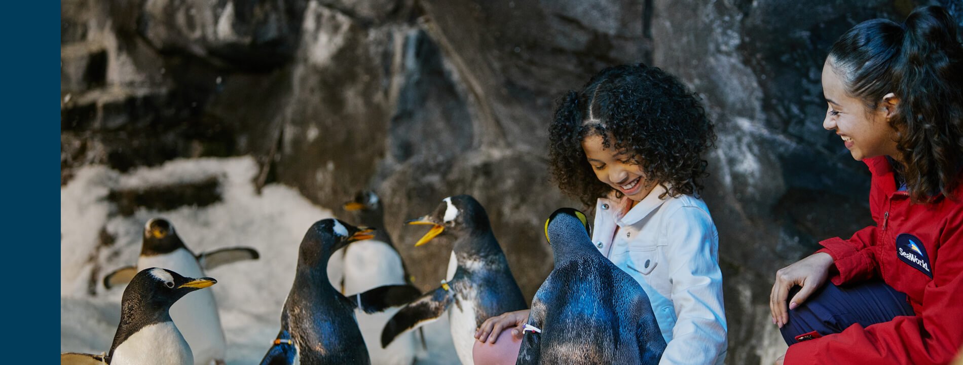 Girl meeting and petting a penguin