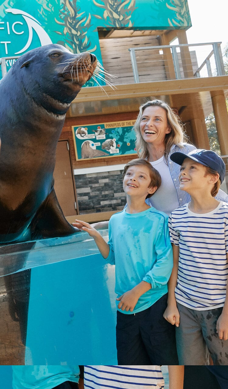 Family on a tour  taking a photo with a Sea Lion
