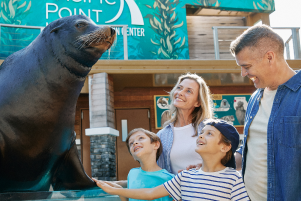 Family meeting a Sea Lion during an animal encounter at SeaWorld Orlando